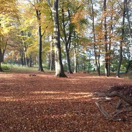 Ferienhaeuser Prosnitz * Garz (Rugen)
